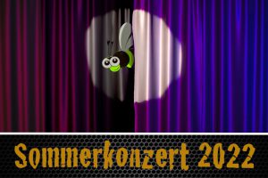 Web-Bild-Sommerkonzert_22